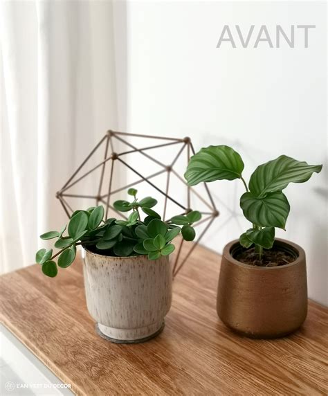 Diy Comment Relooker Un Vieux Cache Pot L An Vert Du D Cor