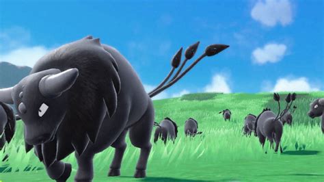 Pokemon Scarlet And Violet Guide To Get Blaze Breed Tauros