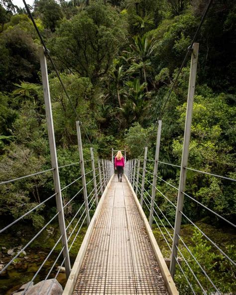 Wainui Falls: one of the most beautiful waterfalls in Abel Tasman ...