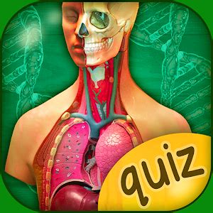 Anatomy Quiz game - Latest version 1.0.4 for Android Game Word