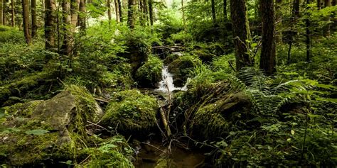 Marbach Steinbachklamm Runde Wanderung Outdooractive