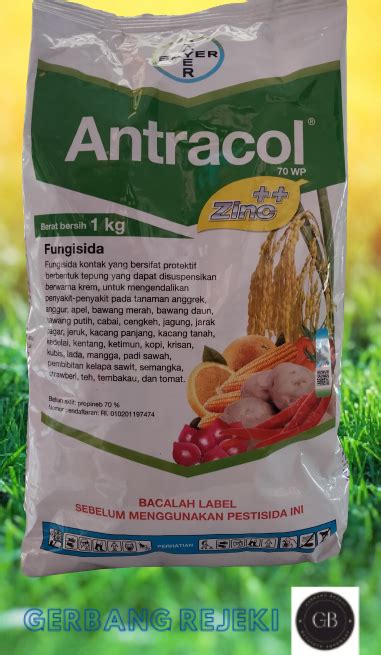 Fungisida Antracol 70 WP Propineb 70 1 Kg Lazada Indonesia