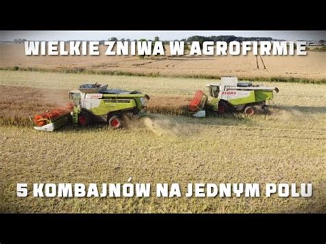 Wielkie Niwa W Agrofirmie Witkowo Kombajn W Na Jednym Polu Youtube