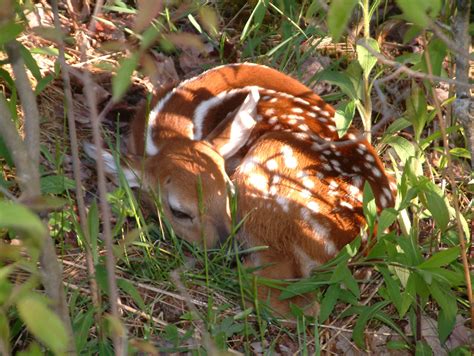 The toughest neighborhood around | News, Sports, Jobs - Times Observer