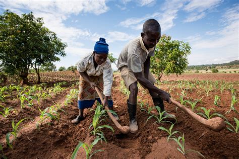 Reduce Poverty And Hunger By Investing In Smallholder Farmers