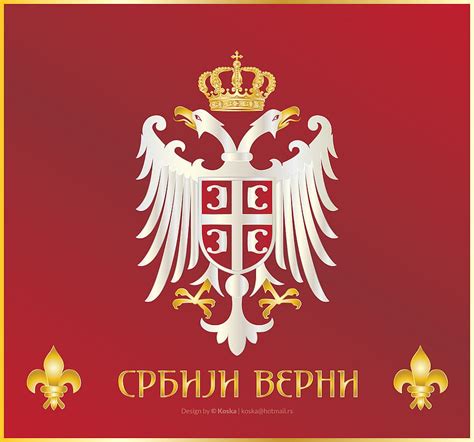 Zastava i grb Srbije - Pozadine za -, SRBIJA HD wallpaper | Pxfuel