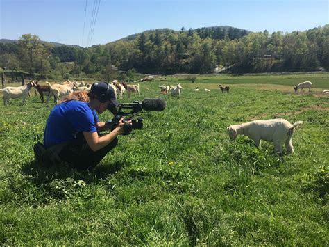 Kudzu Goat Gang My Home Nc Pbs North Carolina