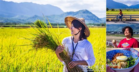 台東池上 萬安社區 充滿稻香的小農村 辛苦過後的大碗公割稻飯最對味！ft台東縣池上鄉萬安社區發展協會（體驗邀約） Yoti