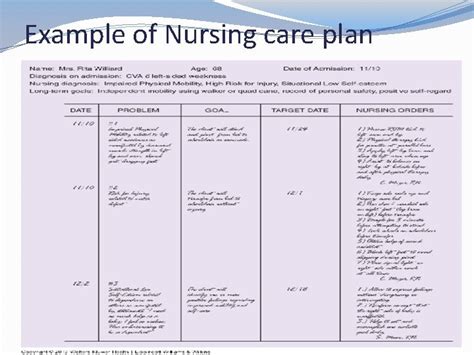 Nursing Care Plan Structure