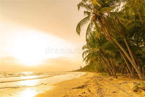 Plage De Mer Avec Cocotier Au Coucher Du Soleil Image Stock Image Du