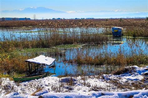 Anzali Lagoon Iran Travel Guide Trip Yar