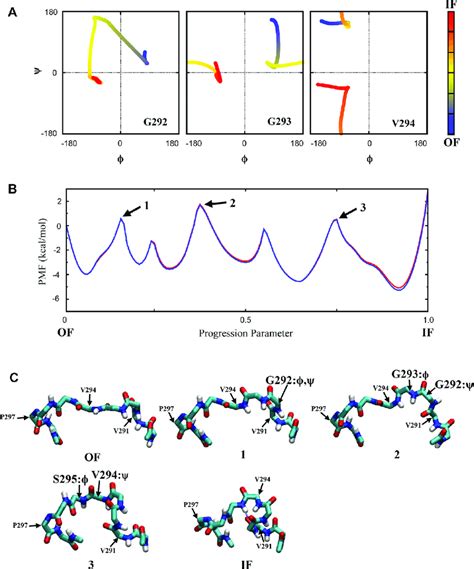 Conformational transition in the isolated EL4 loop A The φ and ѱ