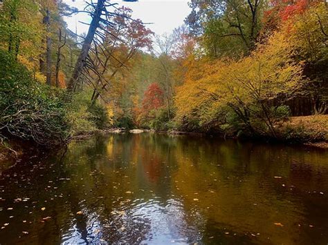 Toccoa River Fly Fishing | American Fly Fishermen