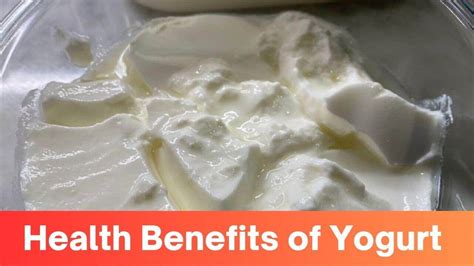 The Complete Guide: Health Benefits Of Yogurt, Side Effects ...