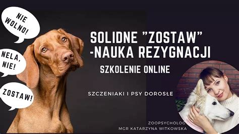 Psi Głos Konsultacje Behawioralne Szkolenia Webinary