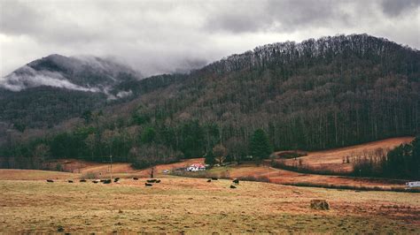 Download Wallpaper 1920x1080 Valley Mountains Grass Trees Fog Full