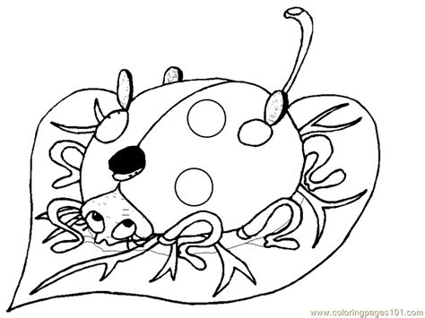 Explore the World of Insects with Grouchy Ladybug Coloring Pages