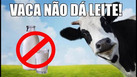 Vaca Não Dá Leite Studio Da Criança Youtube