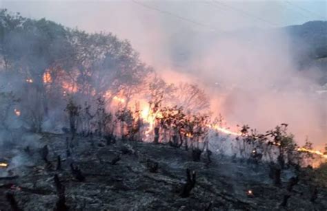 Aplican Plan Dn Iii Por Incendios En Tejupilco Que Han Afectado