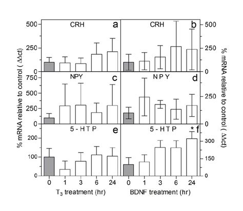 Effects Of T 3 And Bdnf On Hypothalamic Genes Known To Regulate