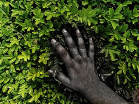 Mano Cortada De Una Persona Tocando Plantas Foto Premium