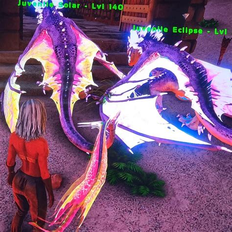 Help Me Name My Two Baby Tropical Wyverns Both Female One Has A Blue