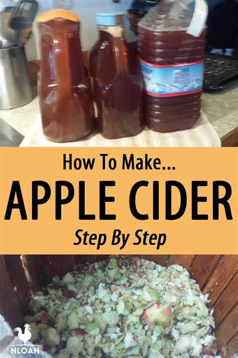 How To Make Homemade Apple Cider With And Without A Press This Is