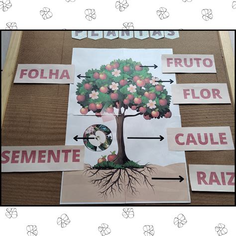 Atividades Partes Das Plantas Educação Infantil - 9