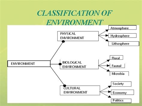 Environment Every Organism In This Earth Is Surrounded