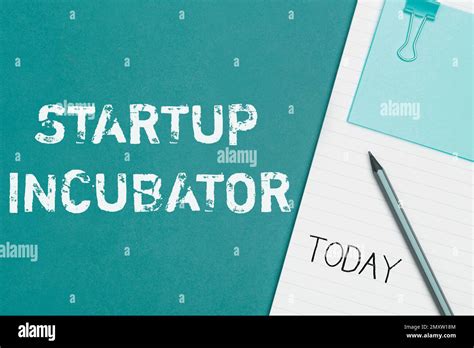 Conceptual Caption Startup Incubator Business Overview Concept That