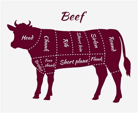 Understanding The Anatomy Of Cow Meat A Comprehensive Diagram