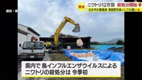 今季初 養鶏場で鳥インフル陽性 ニワトリ殺処分始まる 鹿児島県出水市