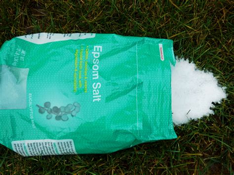 Epsom Salt Lawn Fertilizer What Does Epsom Salt Do For Grass Gardening Know How