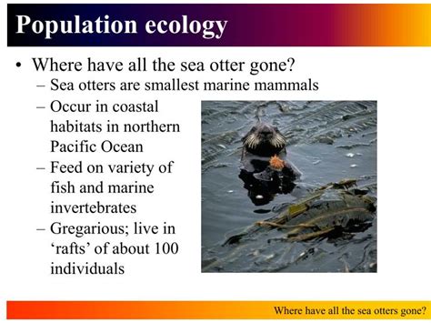 PPT - Population ecology PowerPoint Presentation, free download - ID:726969