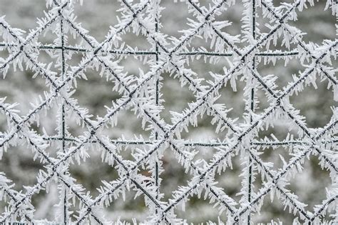 Gel Winter Fencing Free Photo On Pixabay Pixabay