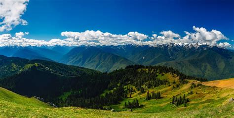 Free Images Landscape Nature Forest Wilderness Cloud Sky Meadow