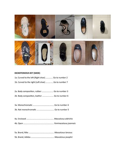 Print Worksheet Dichotomous Key Shoe 1a Curved To The Left Right Shoe Go