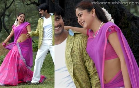 Farzana Telugu Actress Msm Hot Saree Navel Stills Starcelebblog