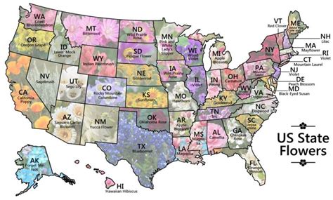 Map depicting each US state flower. - Maps on the Web