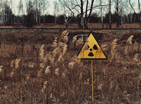 Радиация в повседневной жизни