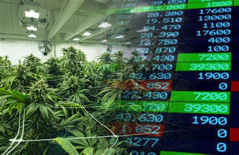 Marijuana Stocks To Watch As Cannabis Industry Expands in 2019 - Stock ...