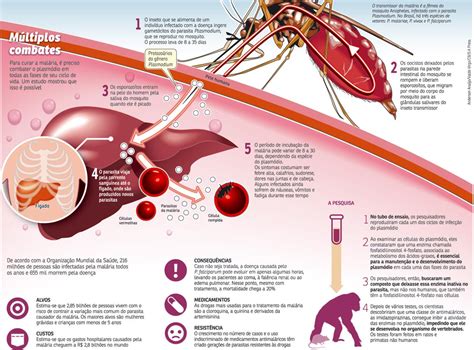 Agente Etiológico Da Malária Sintomas Da Malária Tratamento