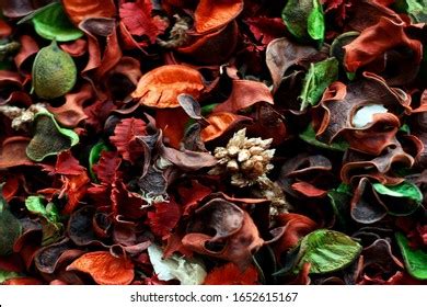 Potpourri Over Royalty Free Licensable Stock Photos Shutterstock