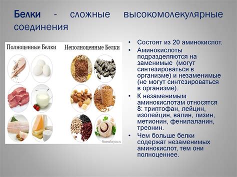 Белки: что это такое, их свойства и функции, состав и для чего нужны ...