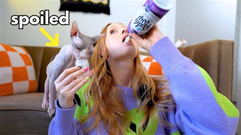 I Threw My Cat The Best Birthday Party Ever Youtube