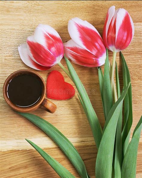 Tulips With Cup Of Coffee Stock Image Image Of Desk