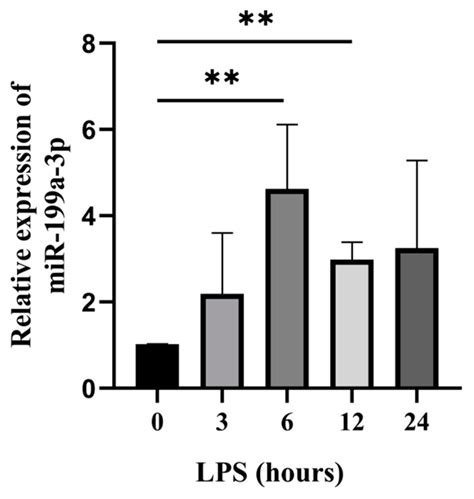 Cells Free Full Text Bta Mir A P Inhibits Lps Induced