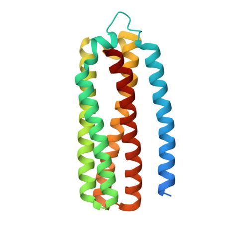 Rcsb Pdb 7n9z E Coli Cytochrome Bo3 In Msp Nanodisc