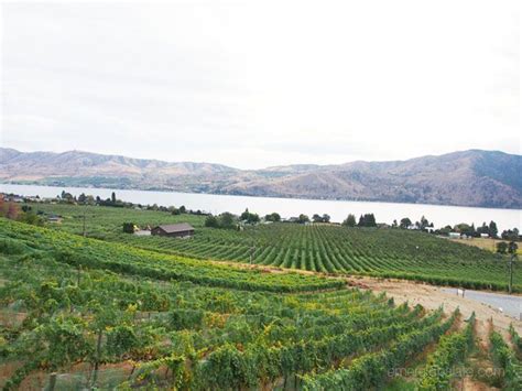 Best Wineries In Lake Chelan Wa Lake Winery Chelan