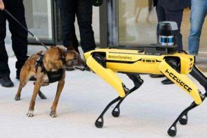 Scarlett Johansson Is So Hot KLYKER